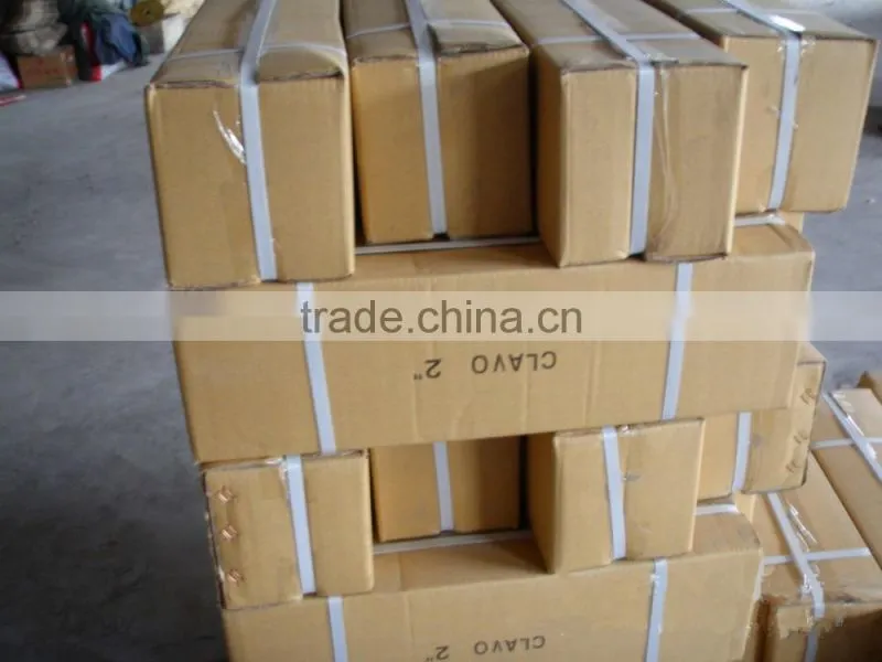 High quality 2 inch common nail