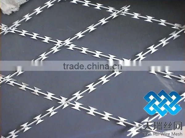 High quality galvanized razor wire with clips