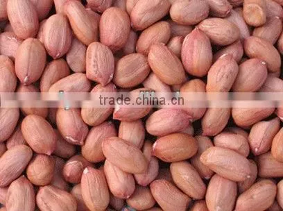 hot sale and durable peanut shelling machine