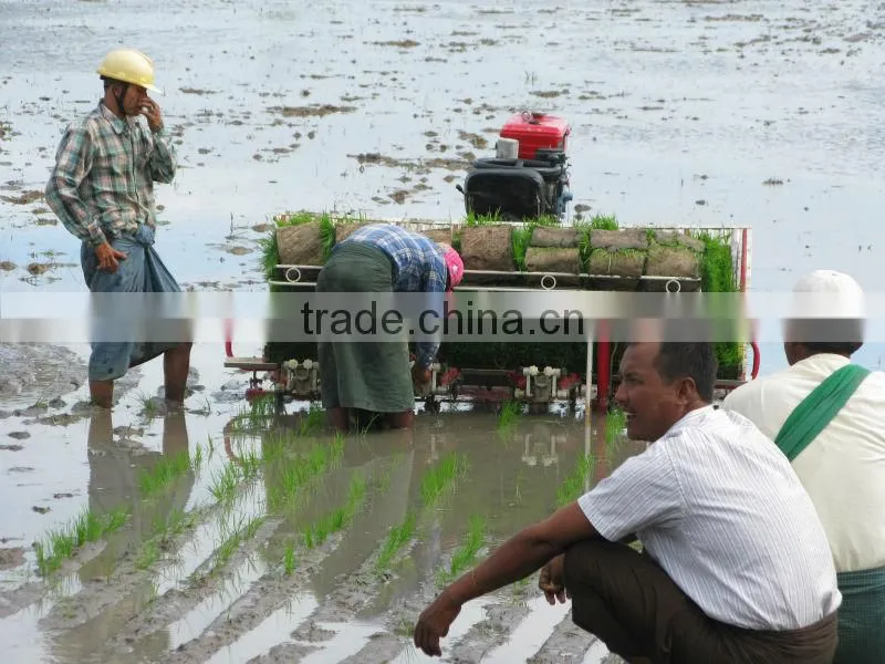 Ride-type rice transplanter