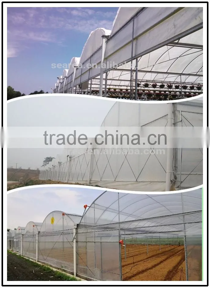 hot sale small size agriculture solar greenhouse farms for sale