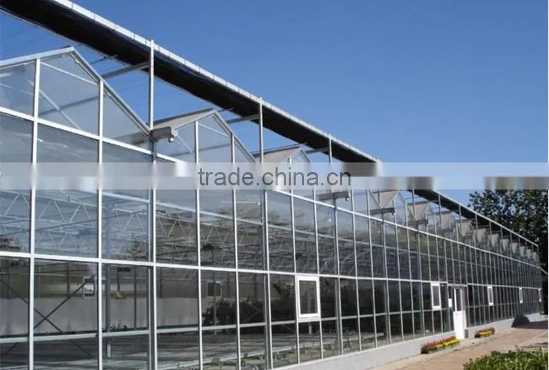 Commercial Greenhouse for agriculture