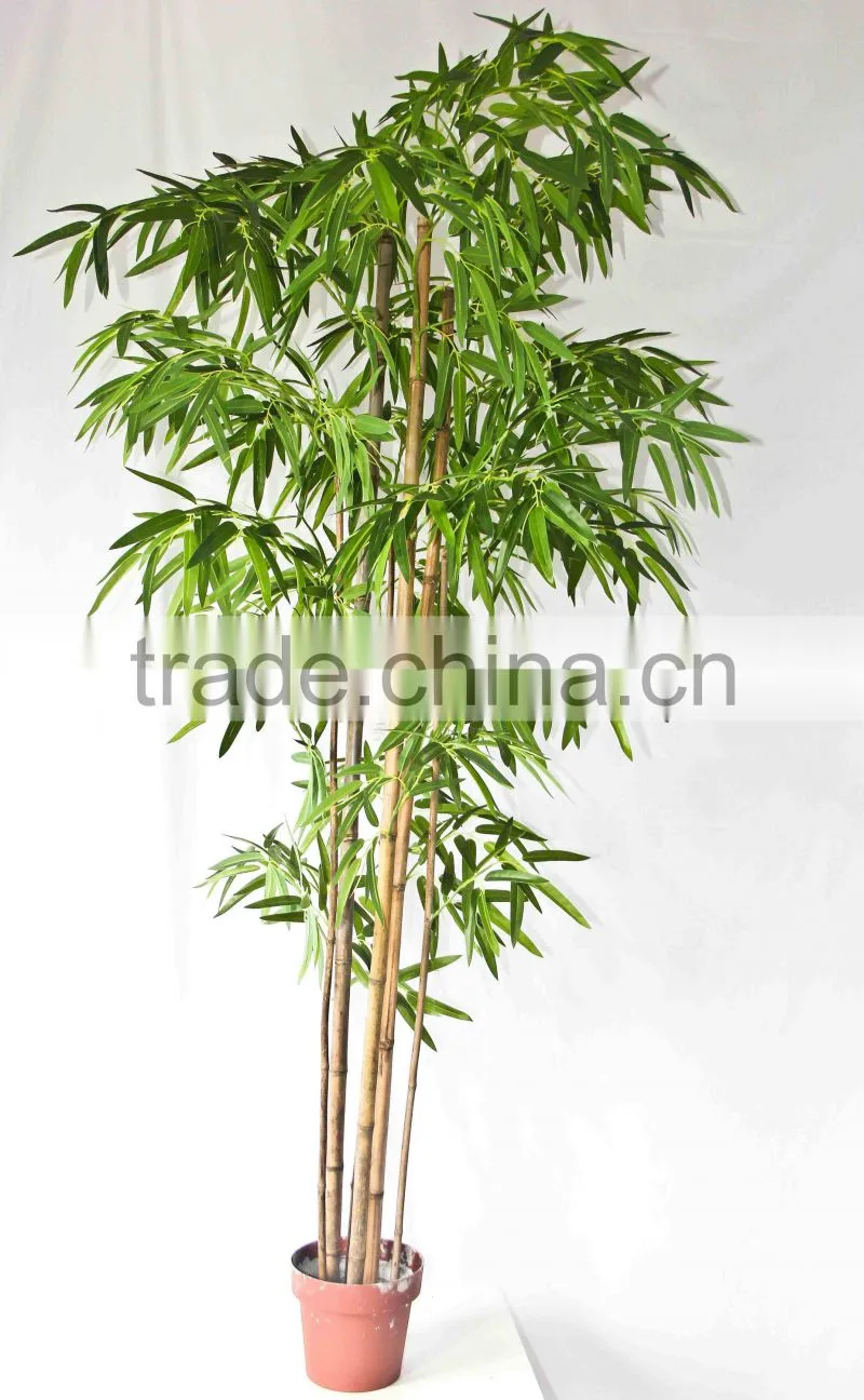 Office decorative green plants