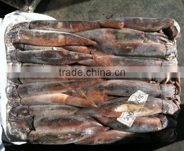 200-300g Whole Round Frozen Illex Squid
