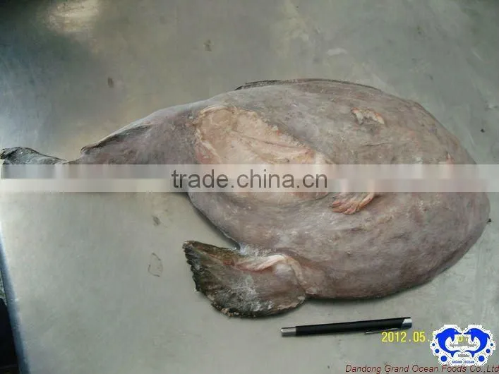 fresh monkfish tail IQF