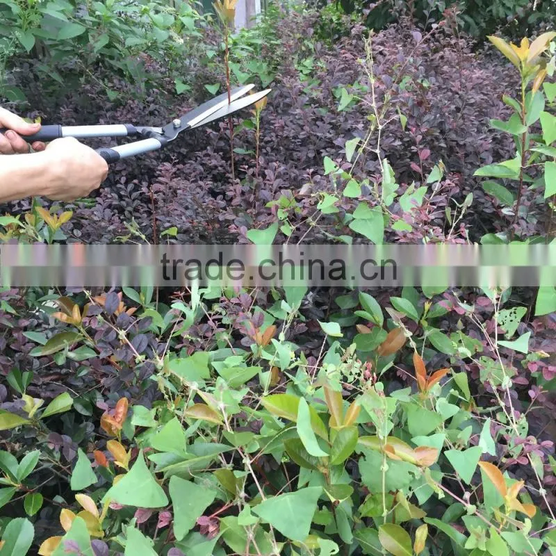 NO.SL4482 3pcs garden pruner set