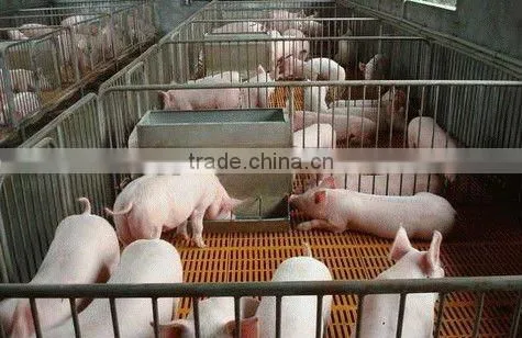 composite pig house floor