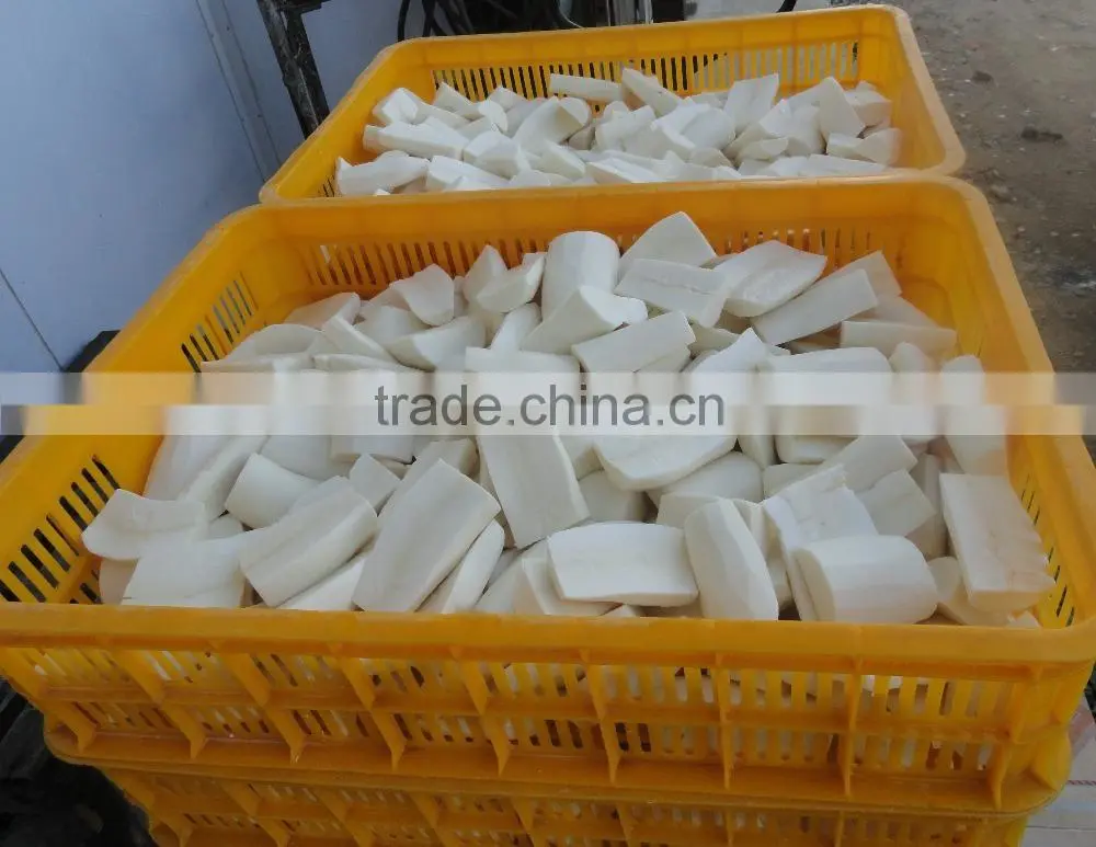 Fresh Cassava Tapioca from Vietnam