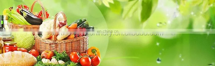 Easy Clean SUS304 Industrial Spray Air Bubble Rotary Vegetable Washer Fruit Washing Machine