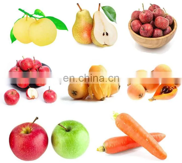 Apple/Pear fruit juice belt press machine