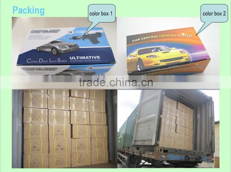 Car Central Locking system with window closer output and alarm