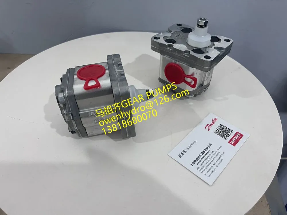 马祖齐1PD1