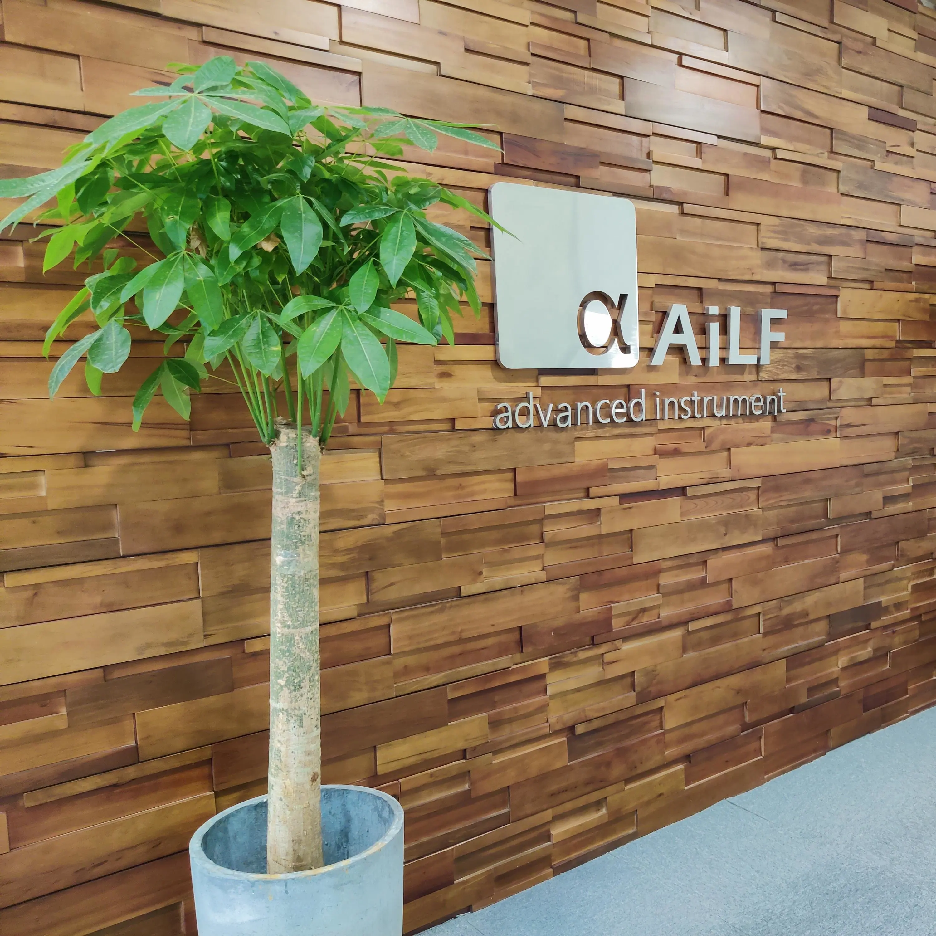 AiLF (Shandong) Instruments Co., Ltd. company overview - view 1