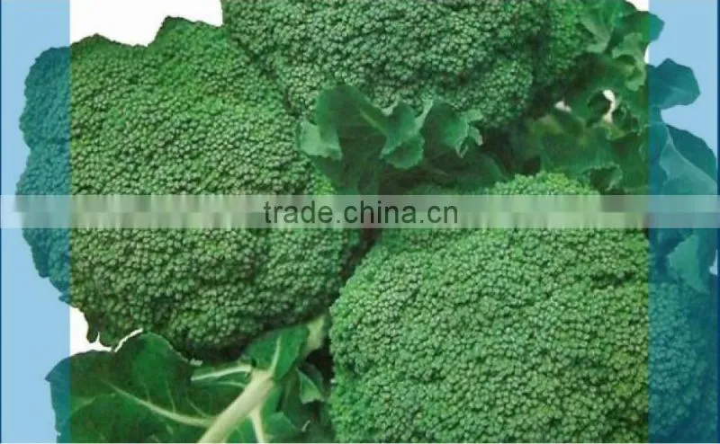 Salad/Vegetable Automatic Multihead Combination Weigher packing machine
