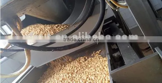 new products roasted and salted peanut