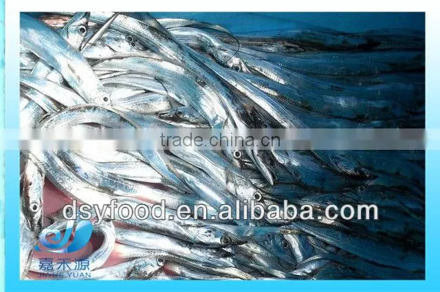 large whole round ribbon fish