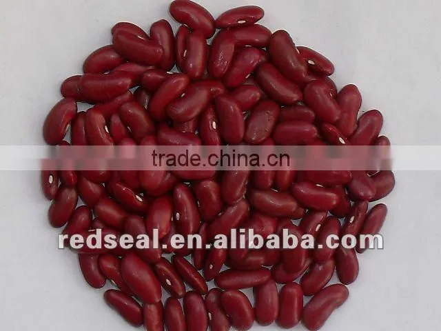 New crop dark red kidney beans