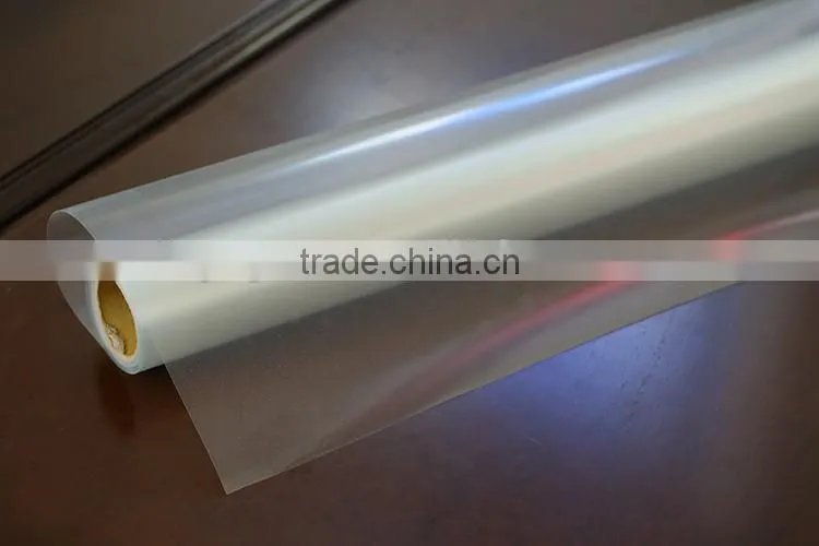 Polaroid Plastic Matte PET Film