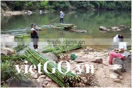 Cheap Price Bamboo Pole