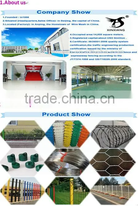 stainless steel hexagonal mesh (professional factory)