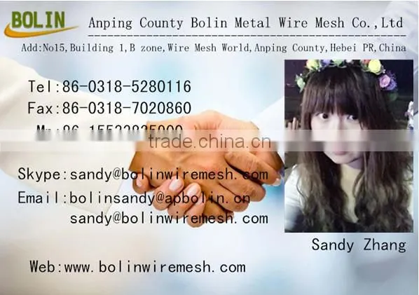 Chemical Filter 100 Mesh 0.1mm Titanium Woven Wire Mesh