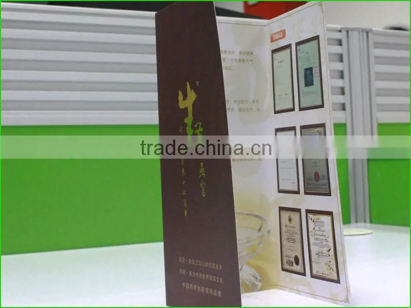 Promotion A4 Folded Leaflet Advertising Brochure Printing