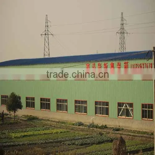 large span steel structure