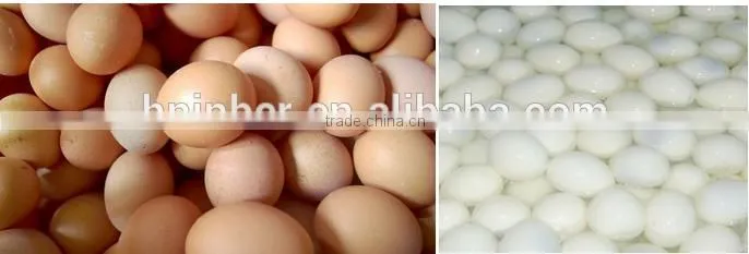 stainless steel chicken egg sheller with good quality