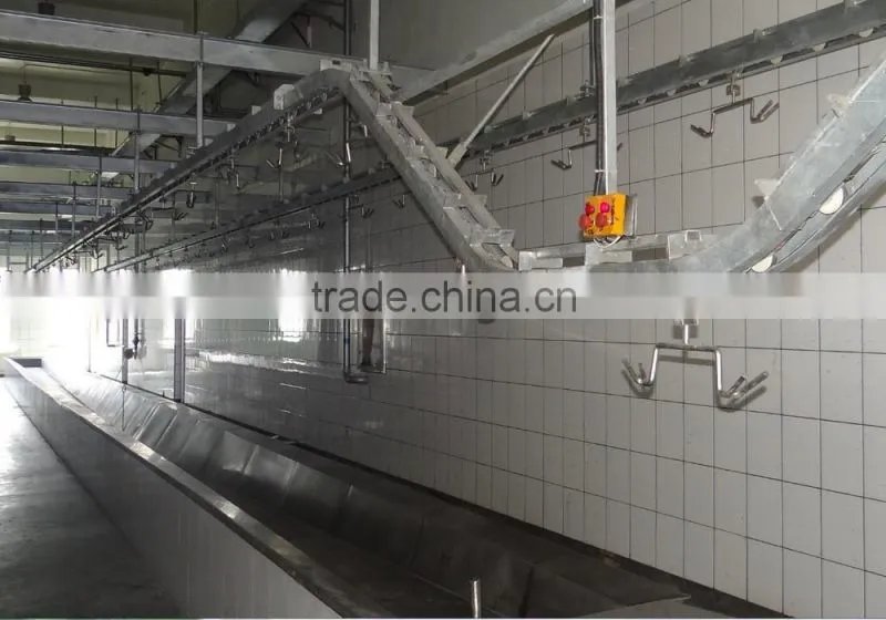Halal sheep abattoir equipment for sheep slaughter house line