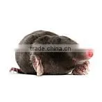 Quality Guaranteed Humane Mole Catcher HDMT013