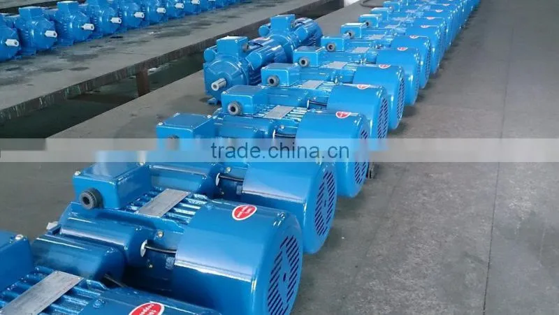 YC,YL,YY,JY single phase two speed electric motor