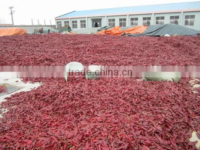 dried chilli