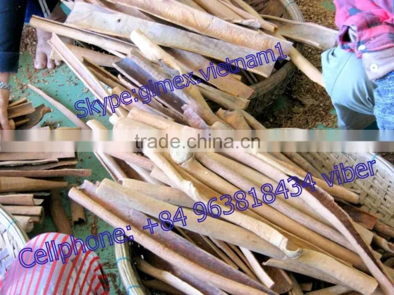 VIETNAM CINNAMON