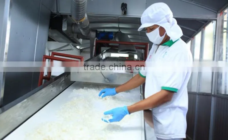 DESICCATED COCONUT HIGH FAT FINE GRADE - Premium quality