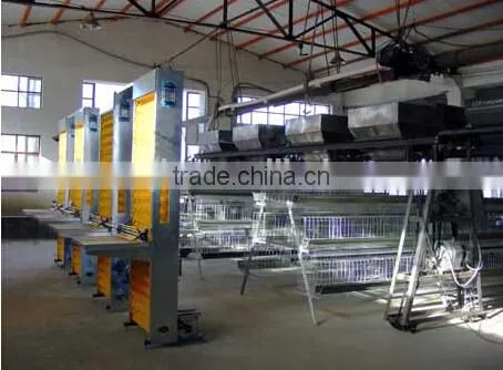 made in China mujia model Automatic egg collecting machine