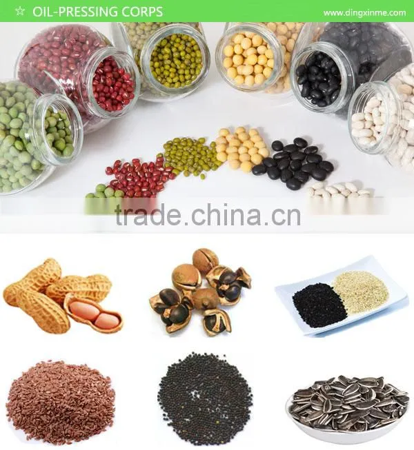China Best Screw and Electric Hydraulic Plant Oil Milling Machine 10kg/h