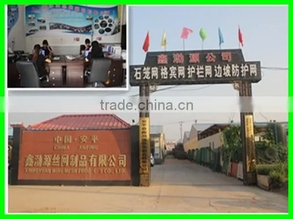 hexagonal wire mesh Manufacturer