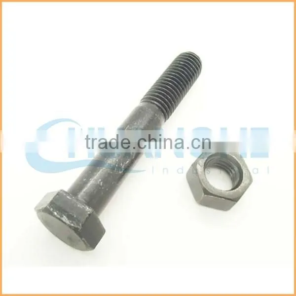 China supplier high tensile bolt and nut