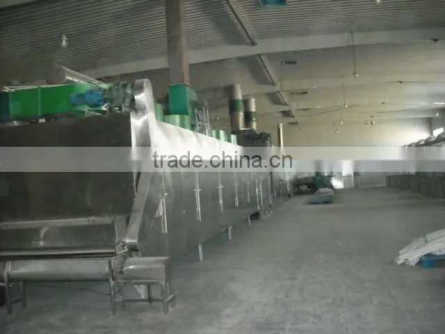 Industrial Vegetable and fruit carrot dryer