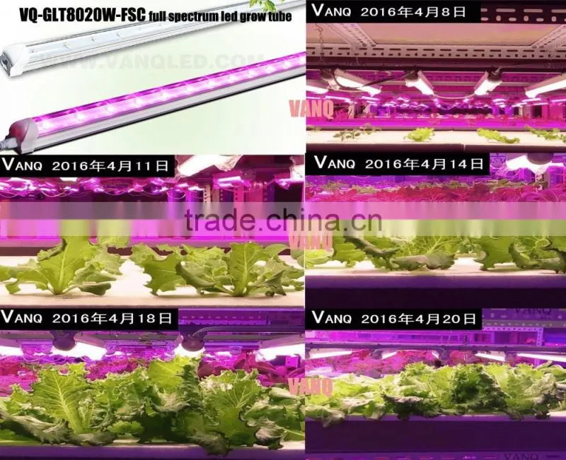 t8 led red light tube 4ft 20w led grow tube banana tissue culture plants light