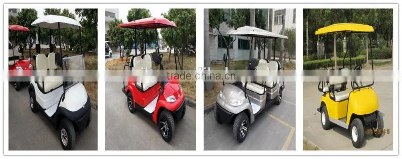 Remote Control Golf Cart ,Electric Golf Cart 4 Wheel Golf Cruiser, 6 Seater electric aluminum golf cart