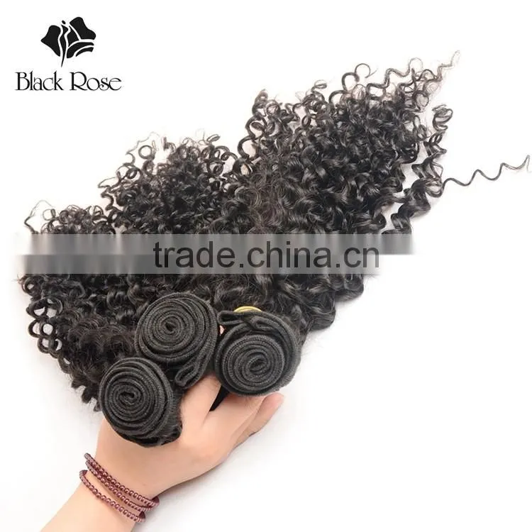 Import Virgin Indian Remy Hair Wholesale,Gorgeous Natural Indian Curly Hair
