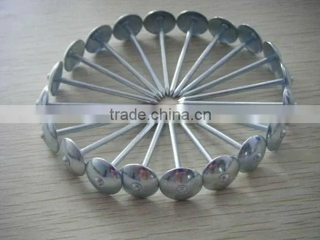 umbrella roofing nail with smooth shank