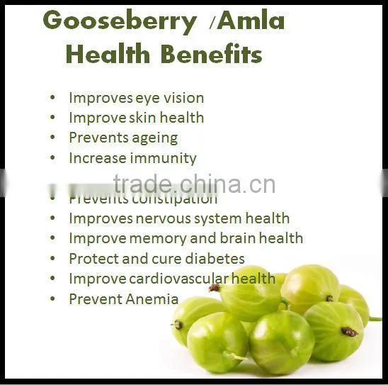 Organic & Purest Amla powder Bulk Producers