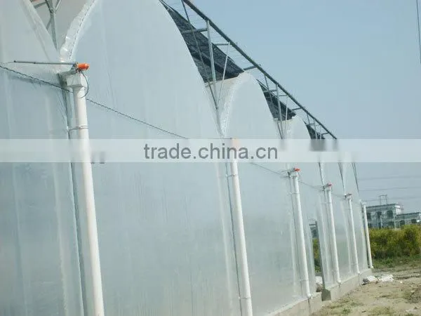 Cut Flower Greenhouse For Middle East