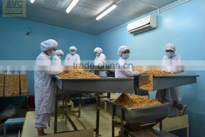 Raw cashew nuts/ Cashew Kernels/ WW320/450/240/LBW/LP/WSLP/DW