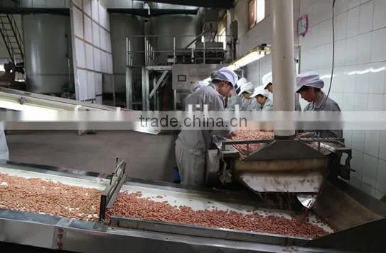 best selling products shelled peanut Maharashtra