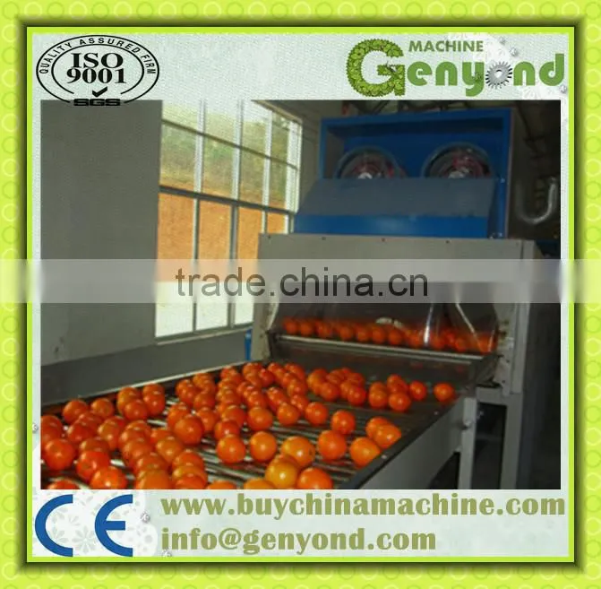 industrial potato washing machine