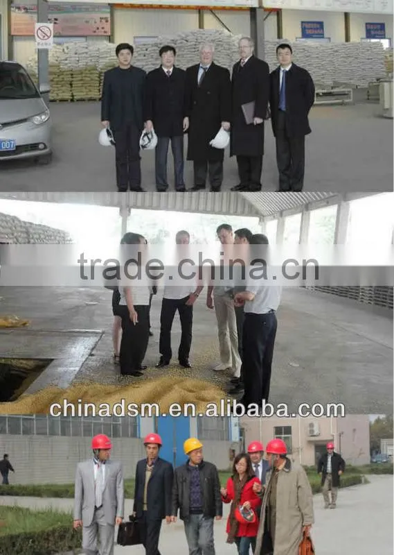 High efficiency chicken manure processing equipment,dashan hot selling