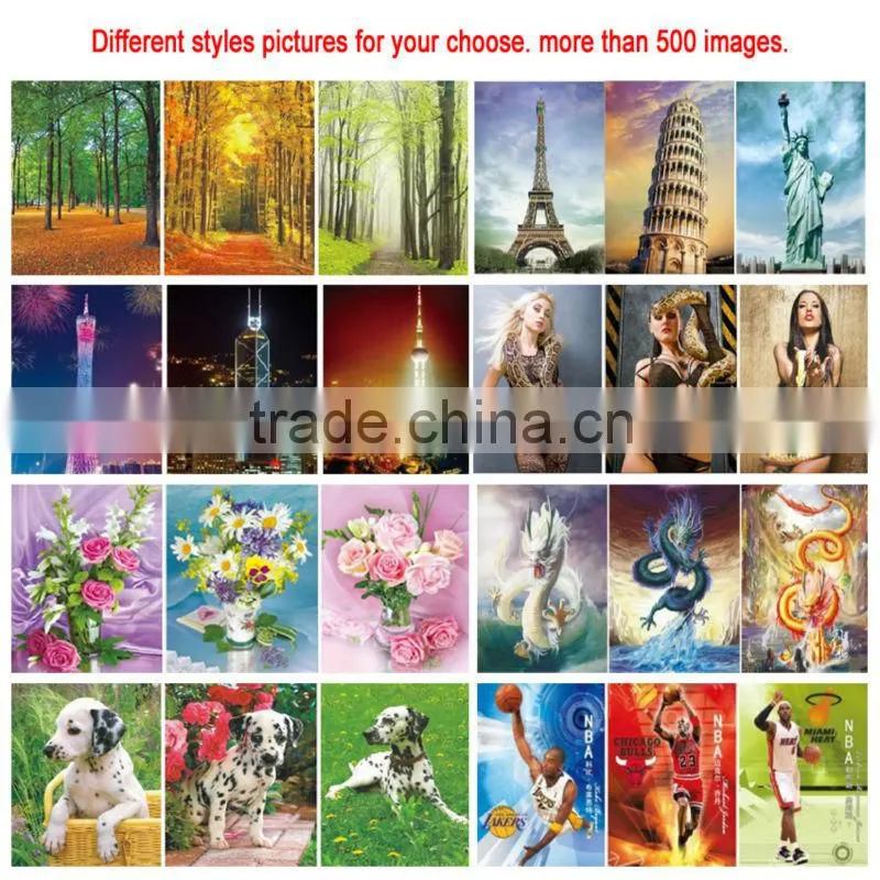 2013 hot customize lenticular 3D table mats of animal